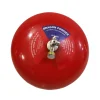 Bình chữa cháy tự động ABC 6kg đã bao gồm kiểm định