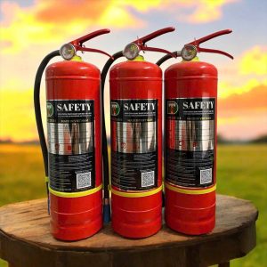 Bình chữa cháy khí bột 4kg